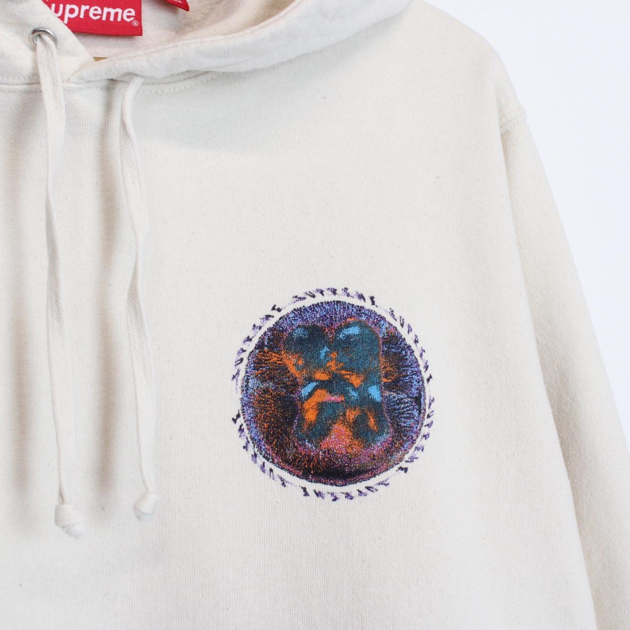Supreme 2020 Embryo Beige and Multicoloured Hoodie Jumper