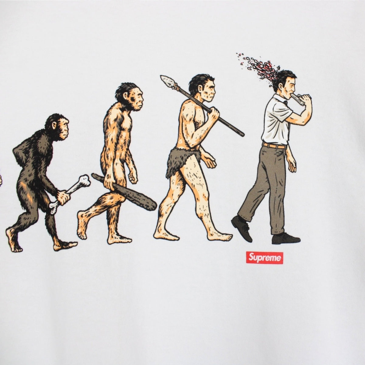 Supreme Evolution Graphic T-Shirt Large